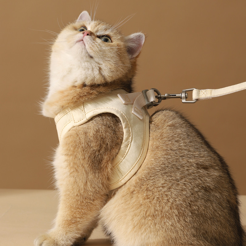 Arnês para gatos, corda de tração, passeio dedicado, Anti-quebra, tipo colete, corrente para animais de estimação, corda