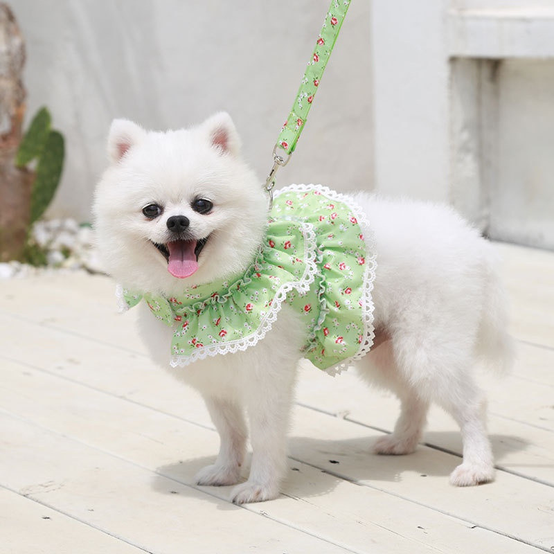 Colete de Verão para Cães, Respirável, em Malha, Roupa para Transporte de Animais de Estimação, Vestido Estilo Princesa