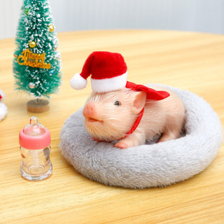 brinquedos de menina Porquinho Silicone Piglet Com Arco De Porco Garrafa De Enfermagem E Almofada De Dormir Lifelike