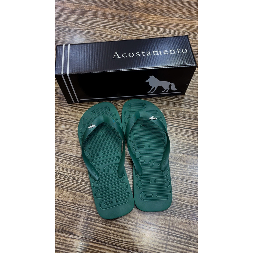Chinelo Masculino Acostamento Logo Alto Relevo - Verde