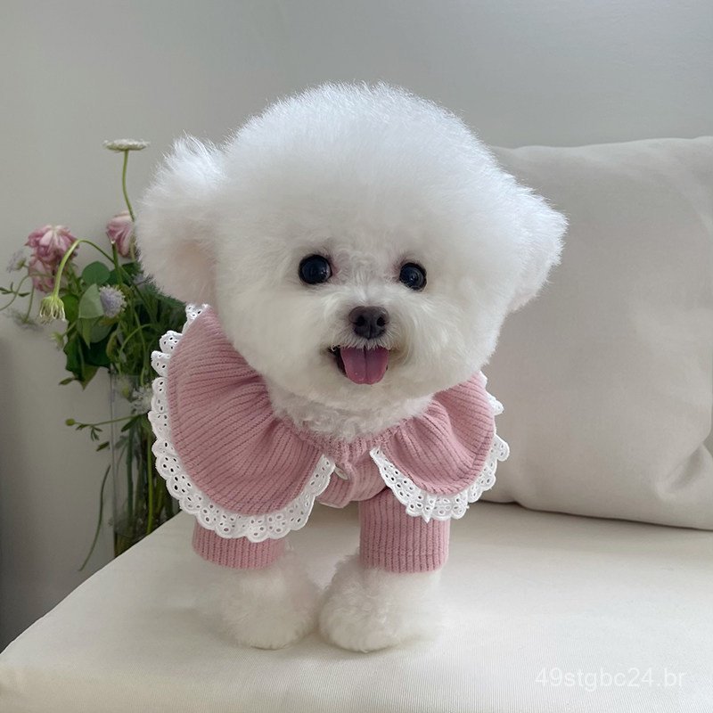 Roupas para Animais de Estimação, Novo Cardigã de Tricô com Botões e Acabamento em Renda para Outono e Inverno, Casaco Q