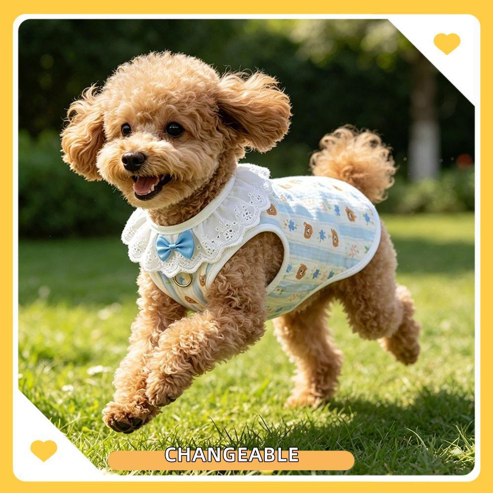 Colete Mutável Do Laço Filhote De Cachorro , Roupas Respiráveis Cão Da Primavera Verão , Saia Macia Bolo Gato Dos Desenh