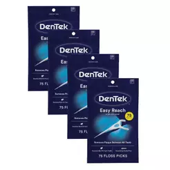 Kit Fio Dental DenTek Floss Picks Complete Clean Easy Reach com 300 unidades