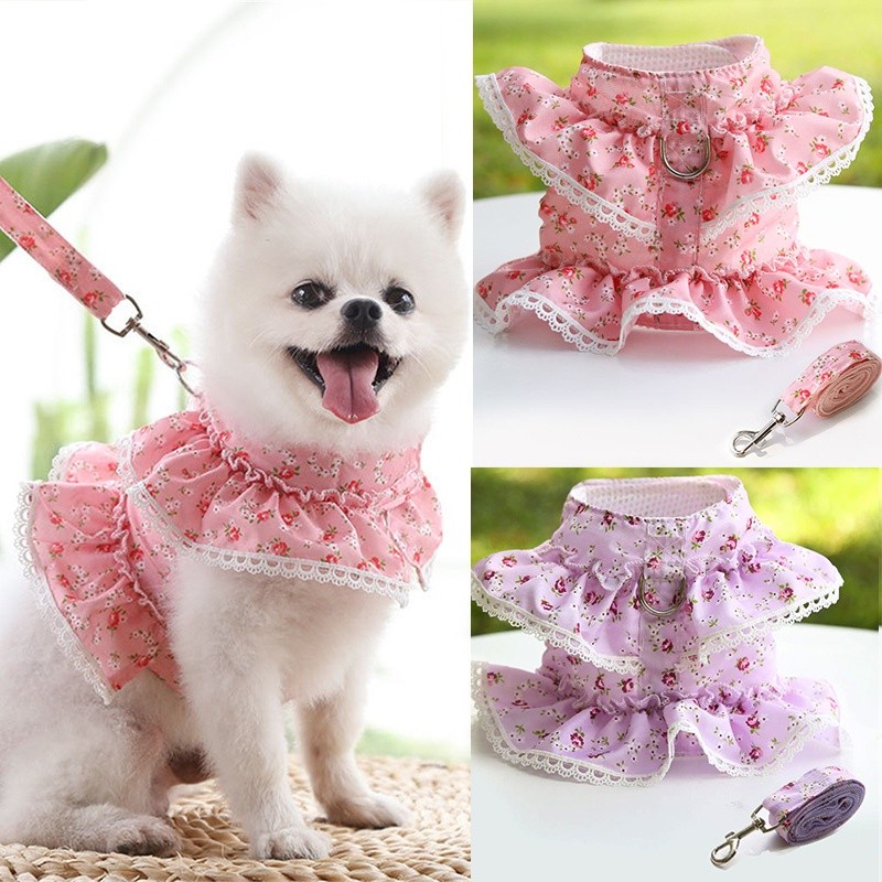 Colete de Verão para Cães, Respirável, em Malha, Roupa para Transporte de Animais de Estimação, Vestido Estilo Princesa 
