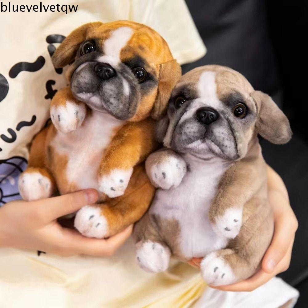 BLUEVELVETQW Brinquedos De Pelúcia Para Cachorros , Animais Fofos Poodle Pug , Boneca De Simulação
