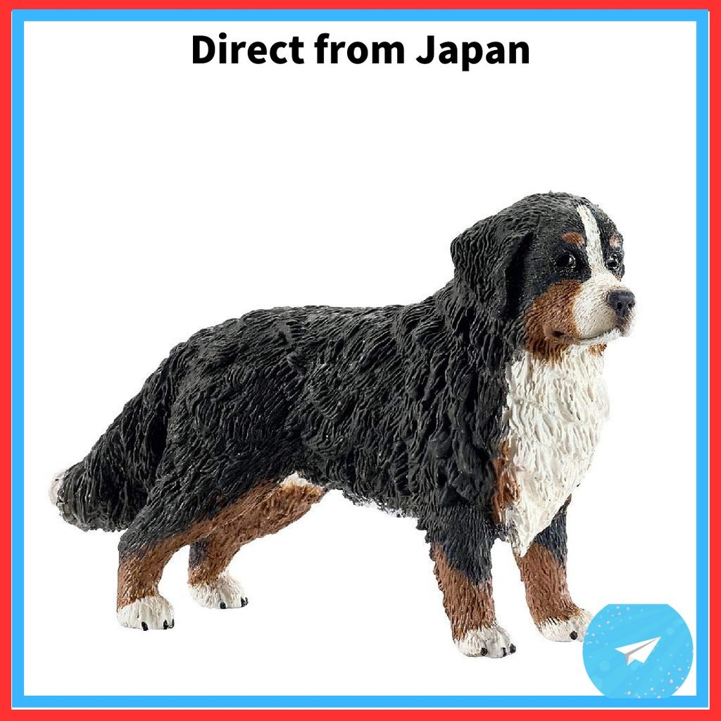Figura Schleich Farm World Cão da Montanha Bernês (Fêmea) 16397 [Direto Do Japão]
