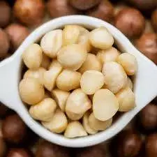 Macadamia Torrada Com Sal e Sem Sal- Safra Nova 250gr/500gr/1Kg MACDM.TRR