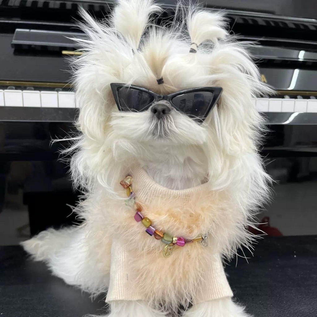 Óculos Pet Fashion Anti-UV | Estilo Luxo para Cães e Gatos Pequenos | Tendência 2026