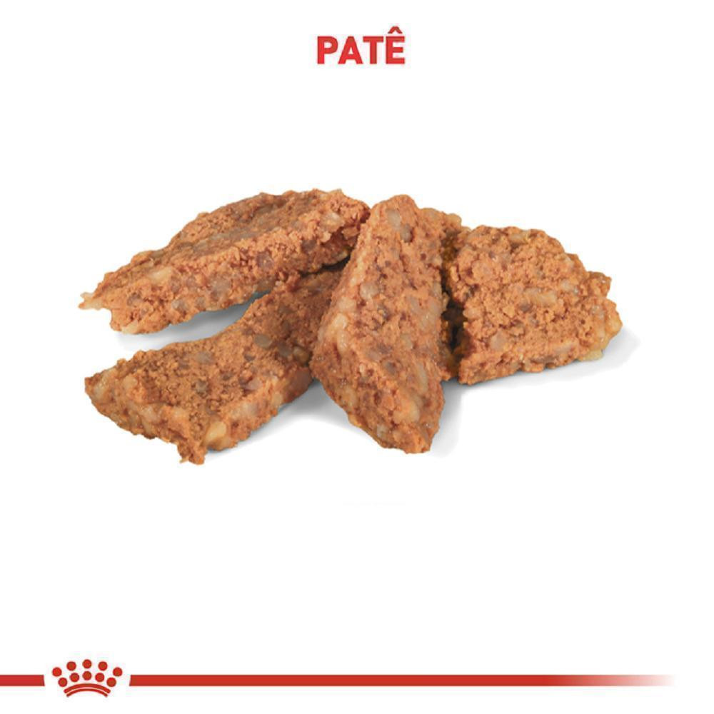 Ração Úmida Royal Canin Veterinary Diet Gastrointestinal para Cães Adultos com Sensibilidades Gastrointestinais 400g