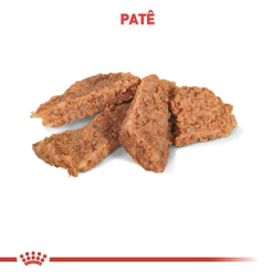 Ração Úmida Royal Canin Veterinary Diet Gastrointestinal para Cães Adultos com Sensibilidades Gastrointestinais 400g