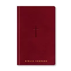 Bíblia Sagrada NVT | Letra Gigante | PJD | Vinho