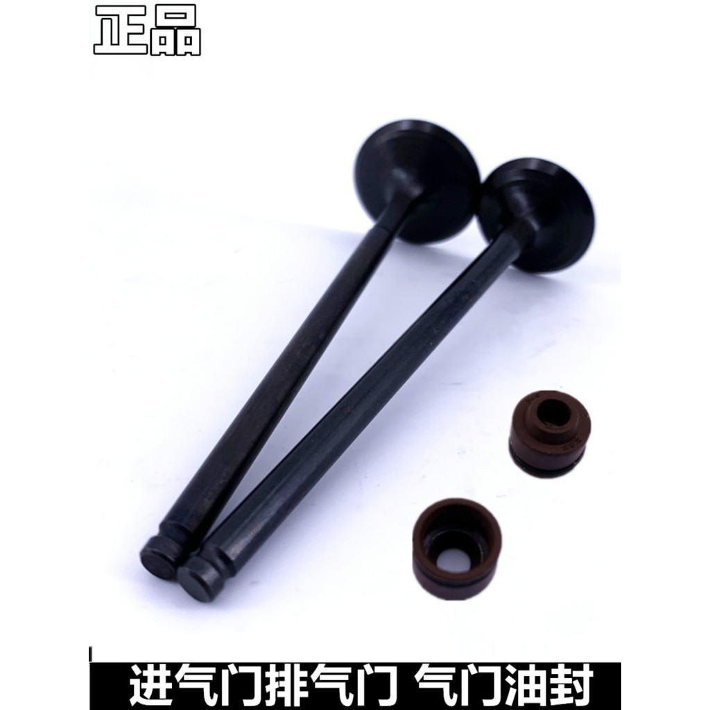 Adequado para Suzuki Ruicai QS125T-4B/4C rumeng QS125T-5A válvula de cabeça do cilindro do motor combinação de vedação d