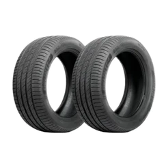Kit 2 Pneus Delinte Aro 17 205/55 ZR17 95W XL DS2