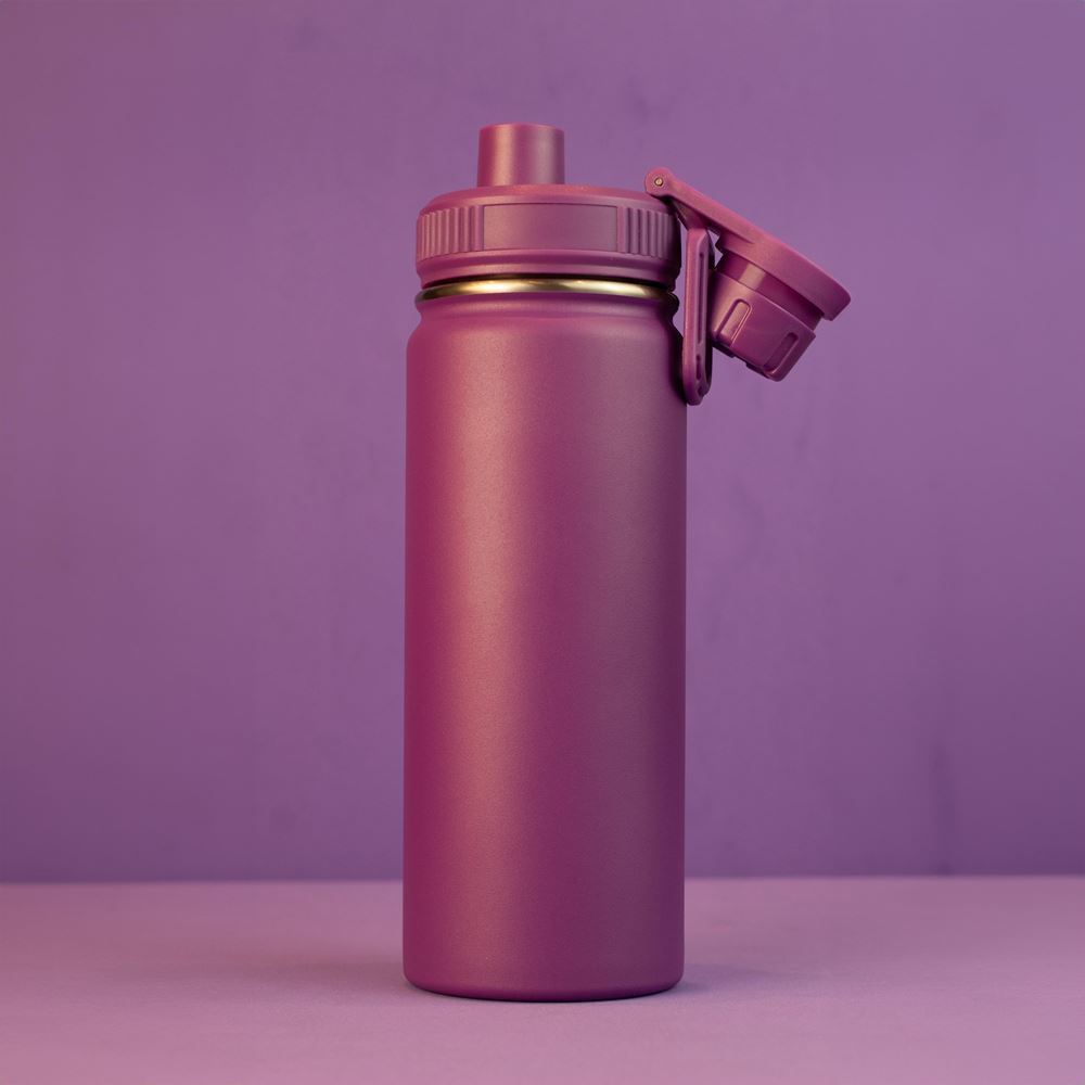 Garrafa com Alça e Bico 780ml em Aço Inox Roxa - Térmica - Resistente - Squeeze - Academia - Sport
