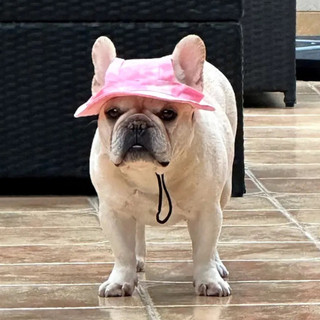 Chapéus de Cachorro Bulldog Francês com Furos para as Orelhas Chapéu de Cachorro Chapéu de Sol HPNT HWBE H2KF