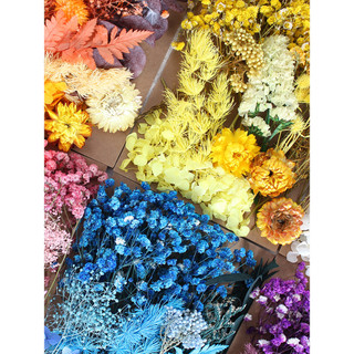 Saco de flores secas mistas Super econômico feito à mão, faça você mesmo, moldura de foto, ventilador, flor preservada N