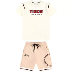Conjunto Curto Infantil Menino Tigor T. Tigre