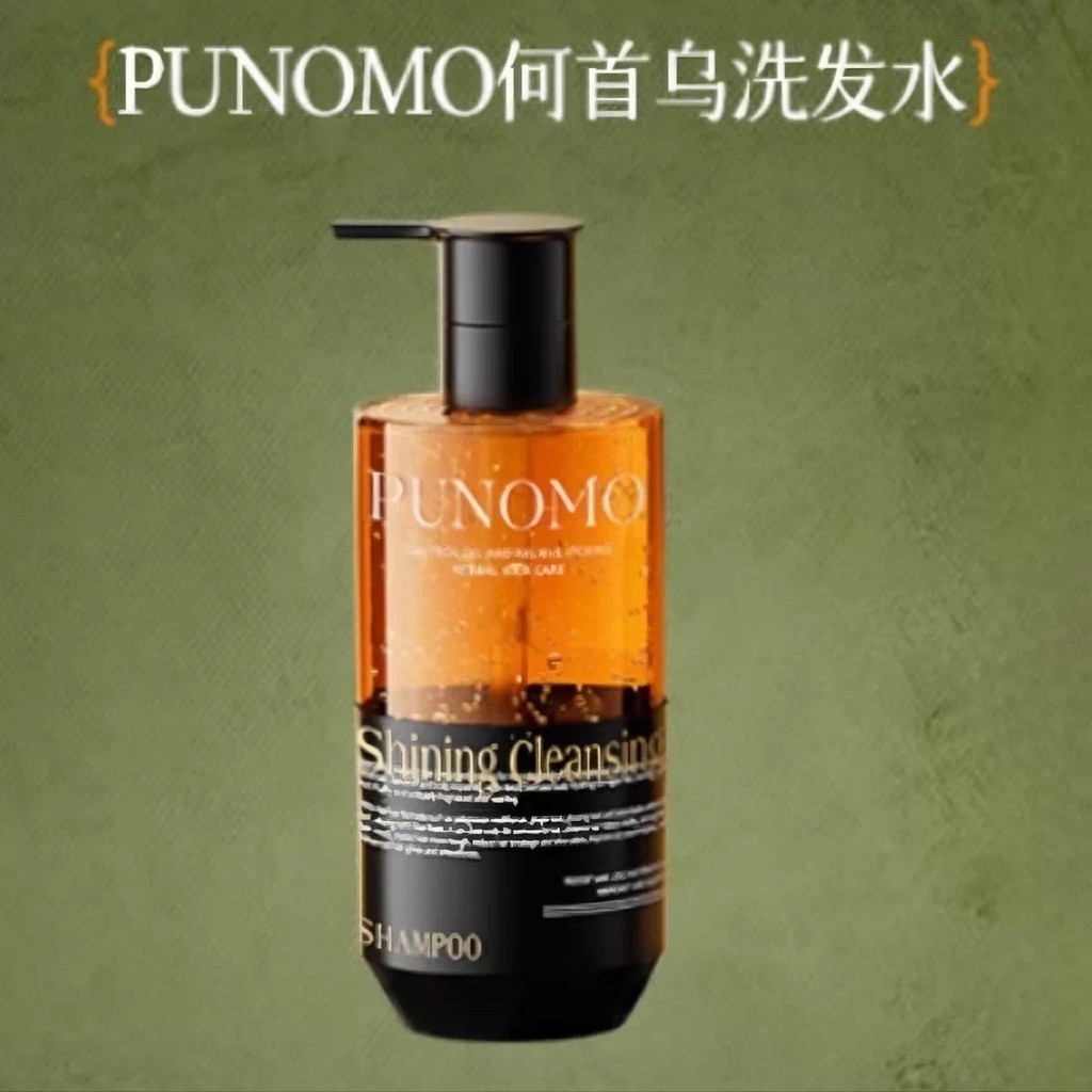 PUNOMO Importado Polygonum Polygonum Polygonum Shampoo Cypress Leaf Preto Ganoderma Lucidum Puro Controle de Óleo de Pla