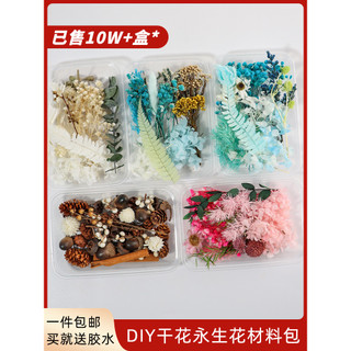 Diy flores secas flores preservadas artesanal moldura de foto grupo fã flor arte Material pacote flores reais secas ao a