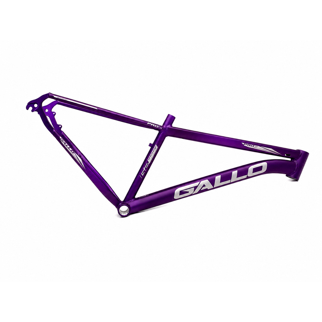 QUADRO 29 GALLO VIOLETA FOSC/AD. PRATA T15