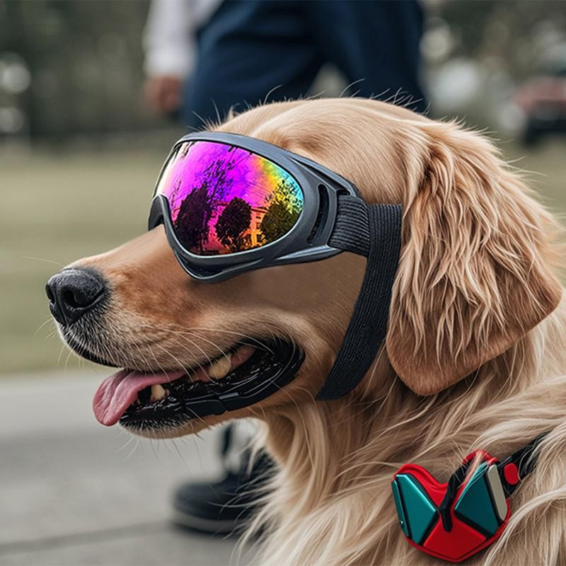 [Rhian] Óculos De Sol Para Cães De Raças Médias E Grandes Com Alças Ajustáveis Proteção UV Filhotes Dirigir Ao Ar Livre 