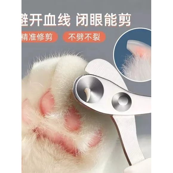 Gato dedicado cortador de unhas pequena tesoura cega gato cortador de unhas cortador de unhas tesoura de pata de cachorr