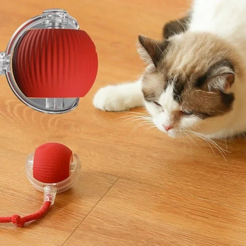 🐱Brinquedo Inteligente para Gatos – Bola Rolante Elétrica com Cauda Falsa e Movimento Automático, Recarga USB