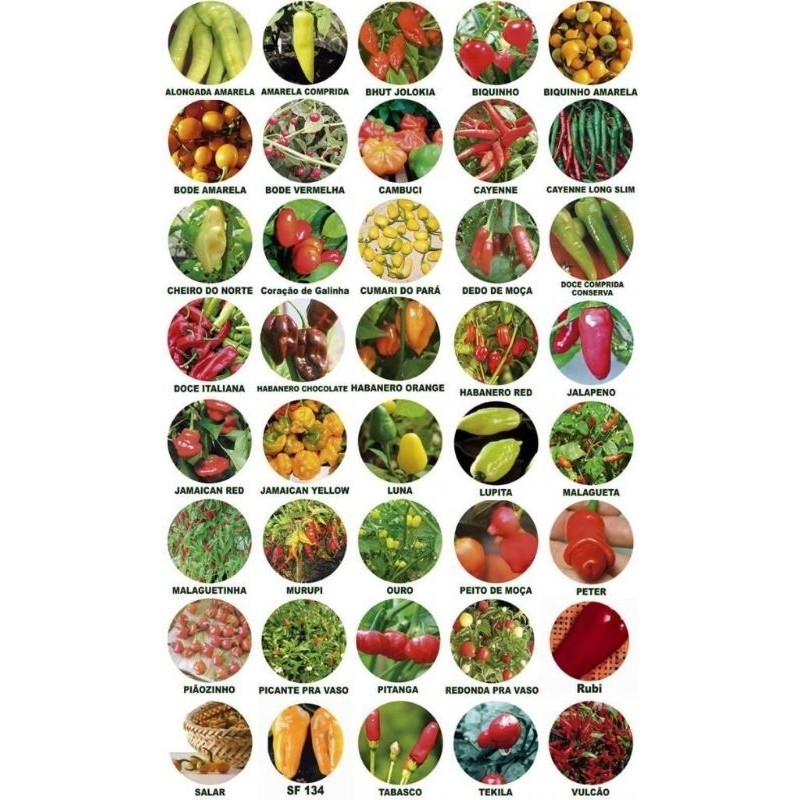 200 Sementes de Pimentas 20 Especies diferentes.