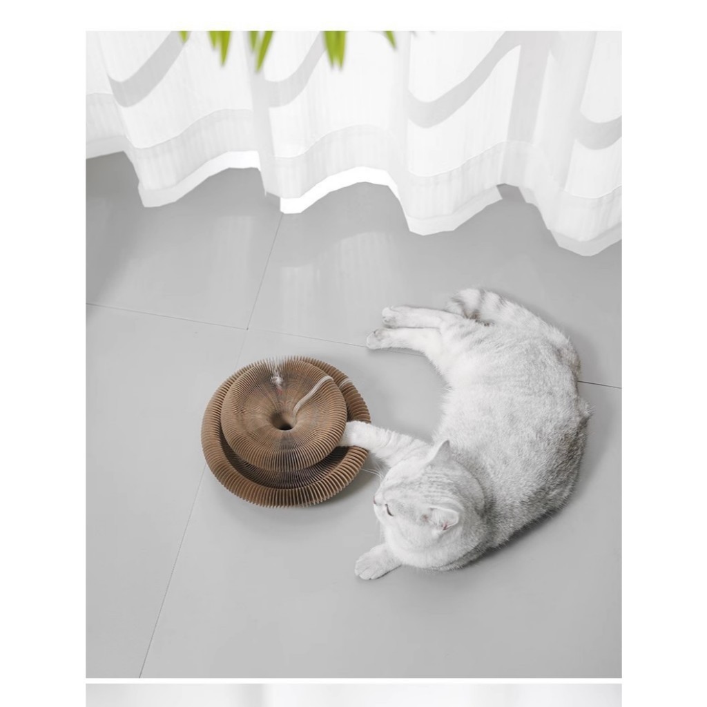 Arranhador Mágico: Onde Comprar | BuscaProdutos