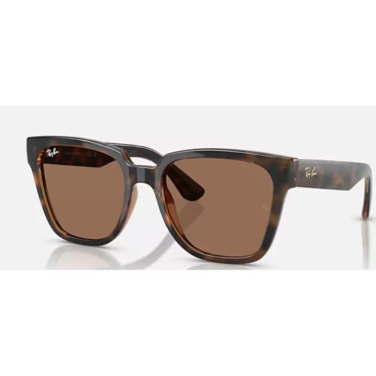Óculos de Sol Ray-Ban RB4437L 710/73 Marrom Escuro