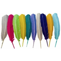 Pacote de Penas de Pato - 6 Unidades Artesanais