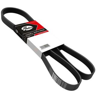 Correia Alternador Accelo 1016 815 OM924LA Micro V Gates em Oferta na Shopee