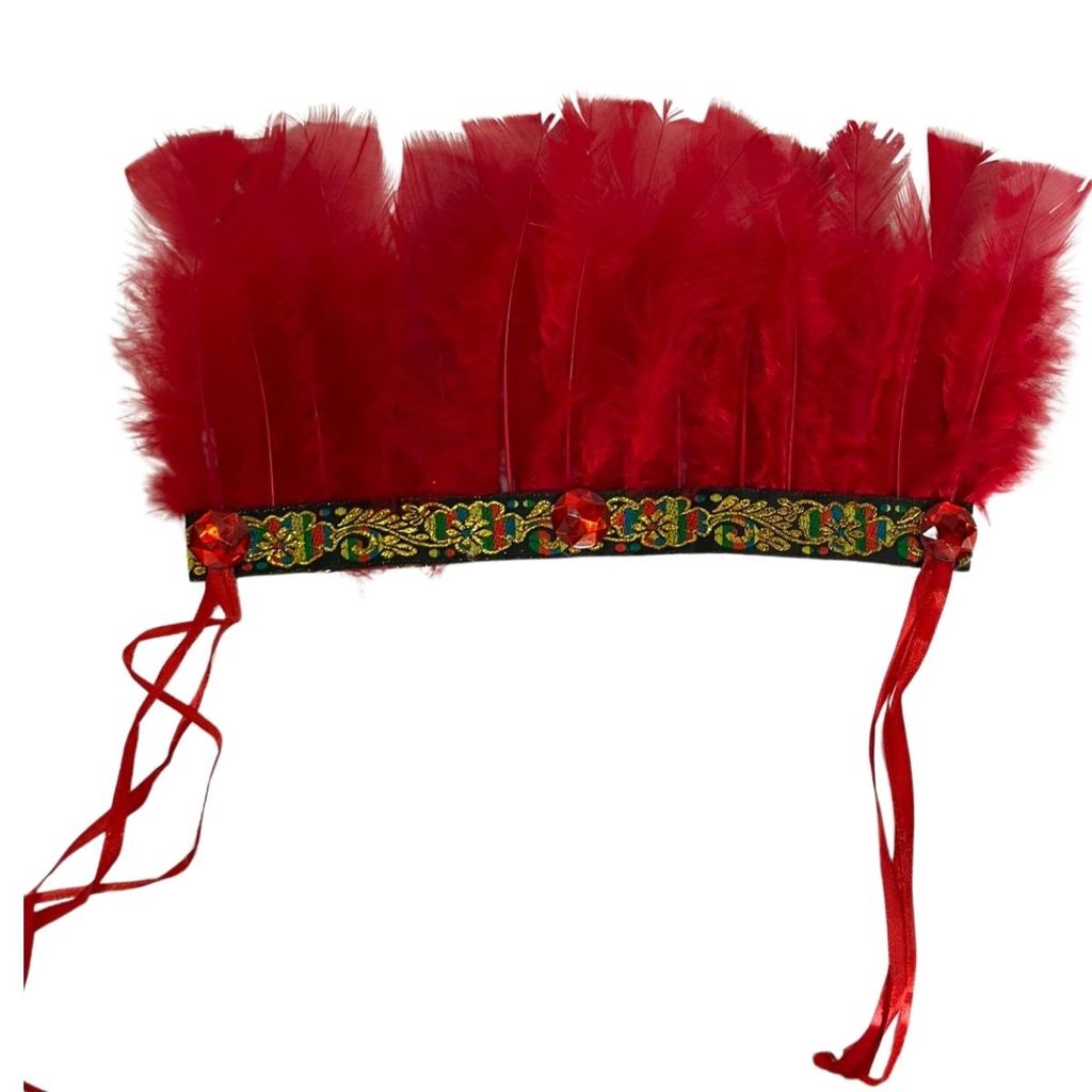 O que é Cocar de Índio Decoração? Guia e Onde Comprar | BuscaProdutos