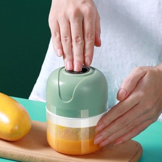 Mini Processador Triturador Sem Fio Elétrico 250ML De Alimentos Para Legumes Alho Gengibre Espremedor De Alho em Oferta na Shopee