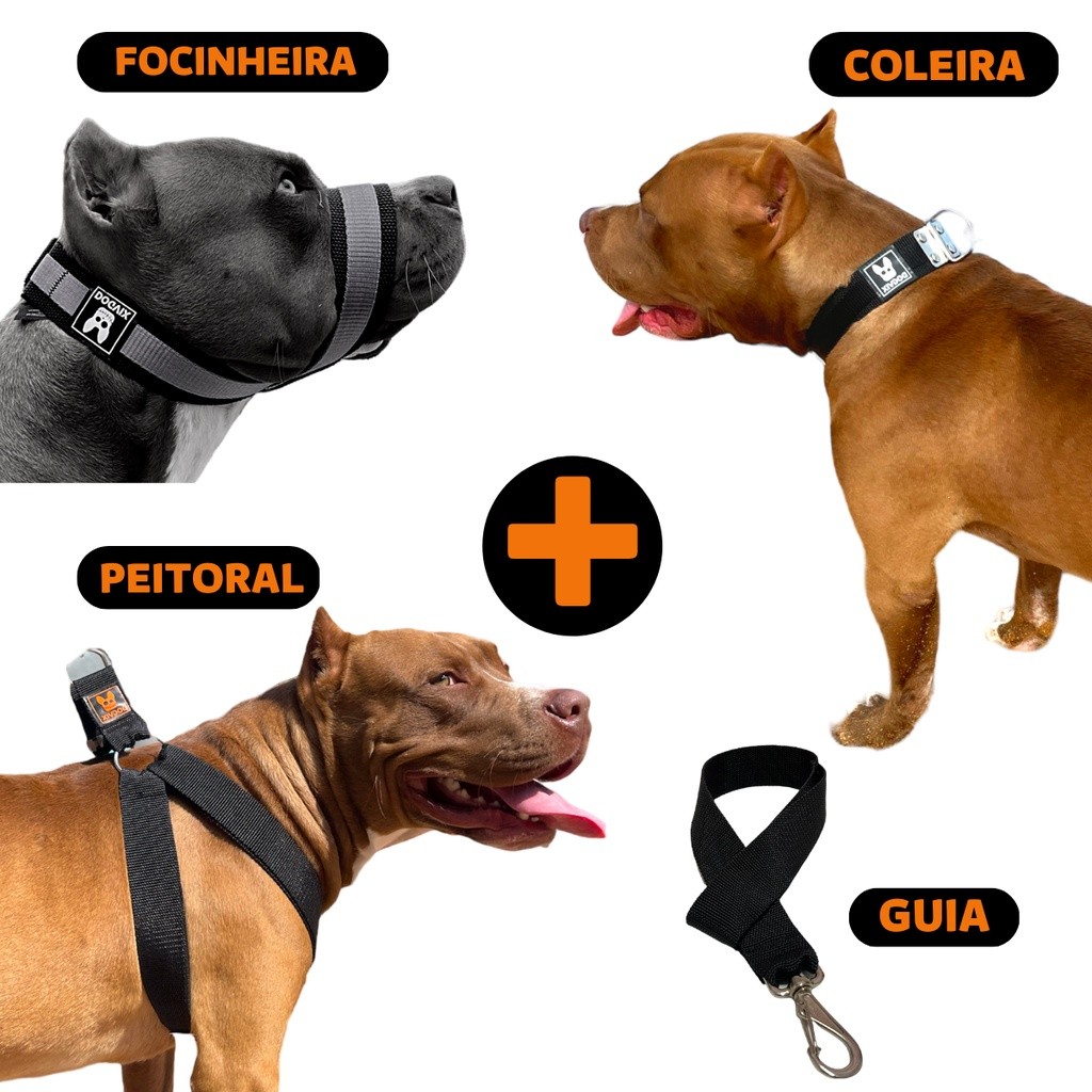 Kit Coleira Peitoral Guia Focinheira Para Cachorro Pitbull Golden Retriever Pastor Alemão Rottweiler PETLOVERSBR