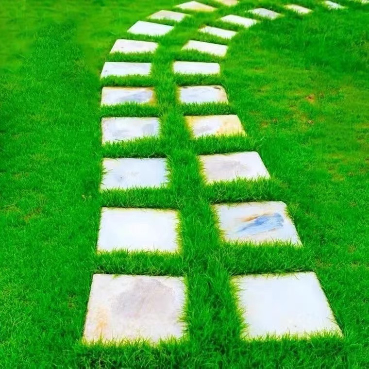 Alta germinação 50pcs 100pcs Sementes/Pacote Sementes de Grama Bermuda Sementes de Grama para Exterior Sementes de Plan