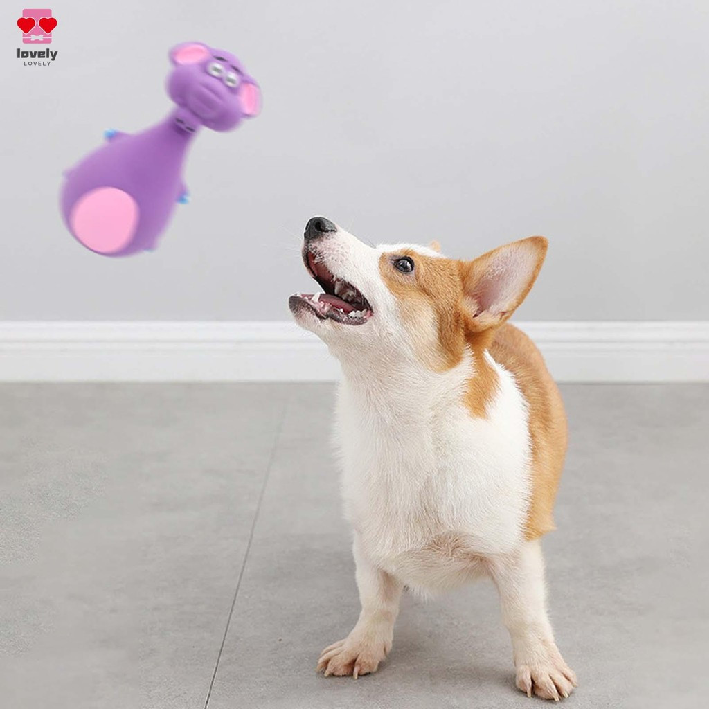 Vaca Brinquedo Pet: Onde Comprar | BuscaProdutos