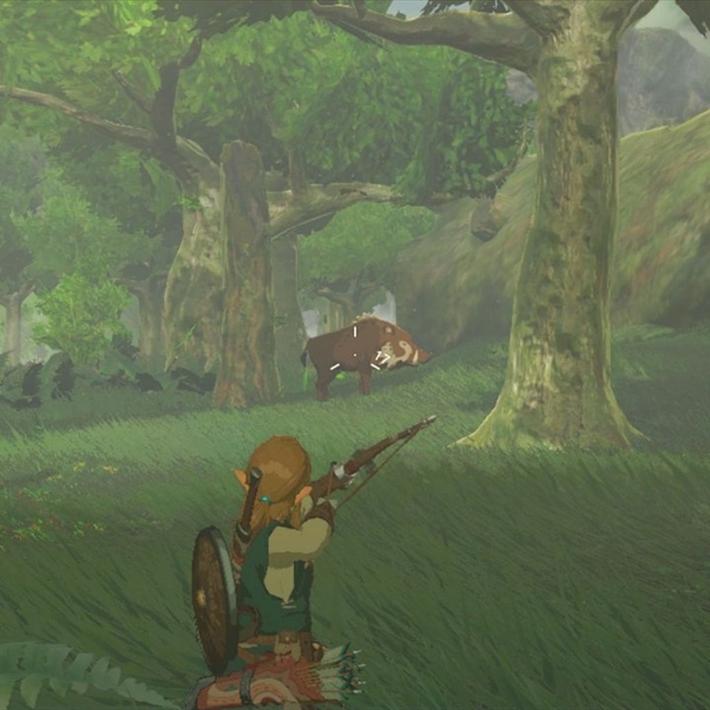 Detalhes do The Legend of Zelda Breath of The Wild Switch Midia Fisica