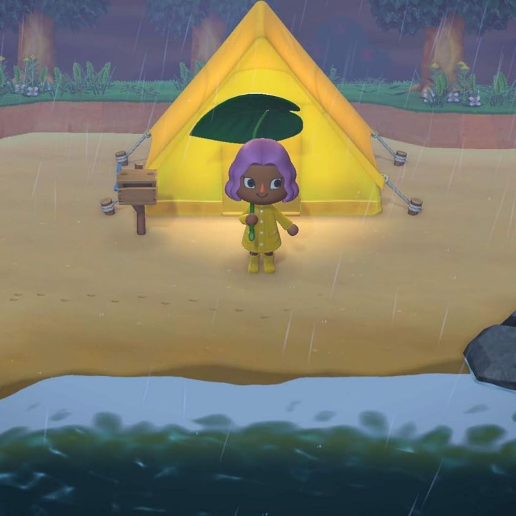 Animal Crossing New Horizons Switch Midia Fisica