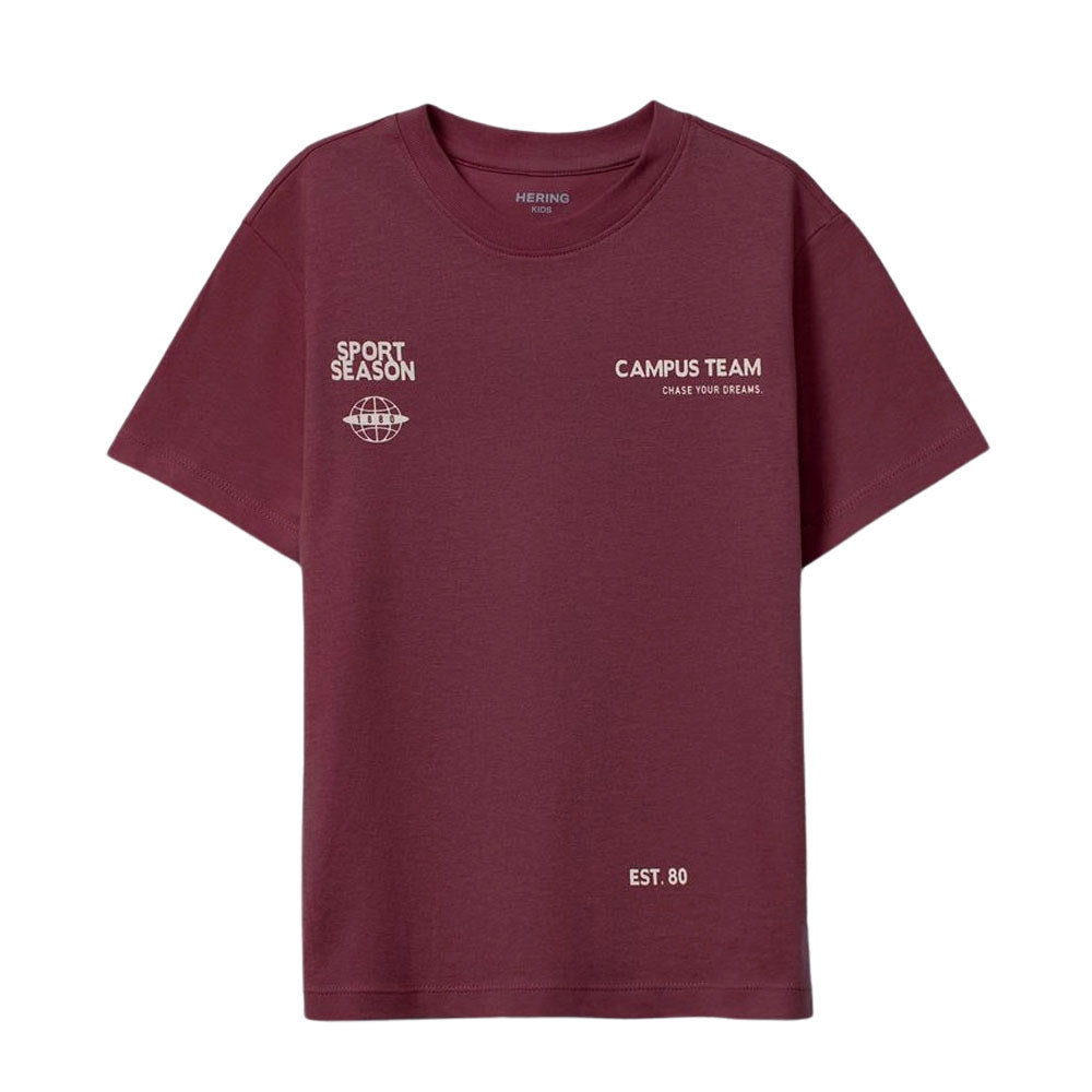 Camiseta Hering Infantil Menino Manga Curta Com Estampa