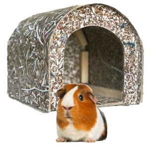 Casa Casinha Porco Da India Porquinho Ecologica Hamister Qulidade E Conforto em Oferta na Shopee
