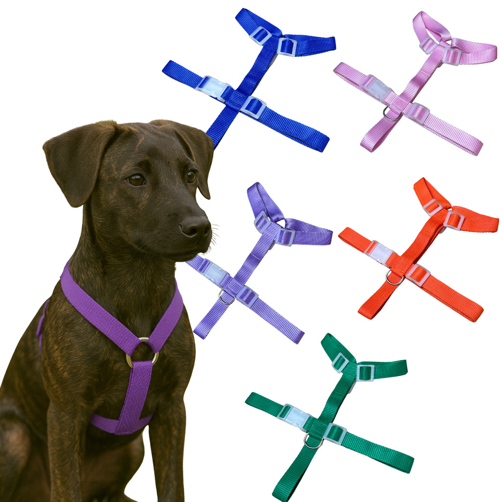 Peitoral Para Caes Cachorro Porte Medio Mabuu Pet Tamanho P Ideal Para Caes de Filhotes e Medianos
