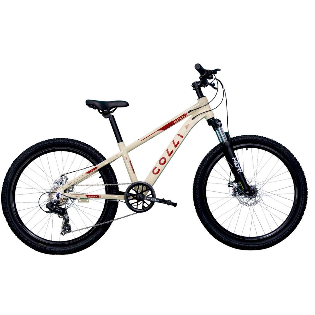 Bicicleta Infantil Colli Napoli 7v Aro 24 Freio Disco