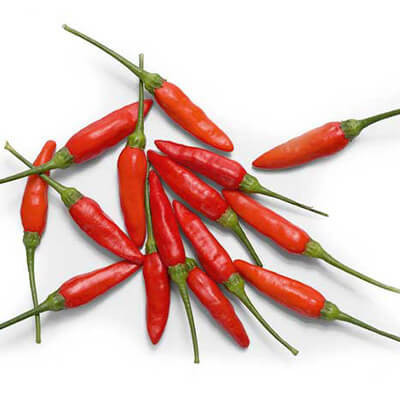 Alta germinação 700 sementes 1400 sementes 1800 sementes DE PIMENTA TABASCO - PIMENTA ARDIDA TABASCO  (11029)