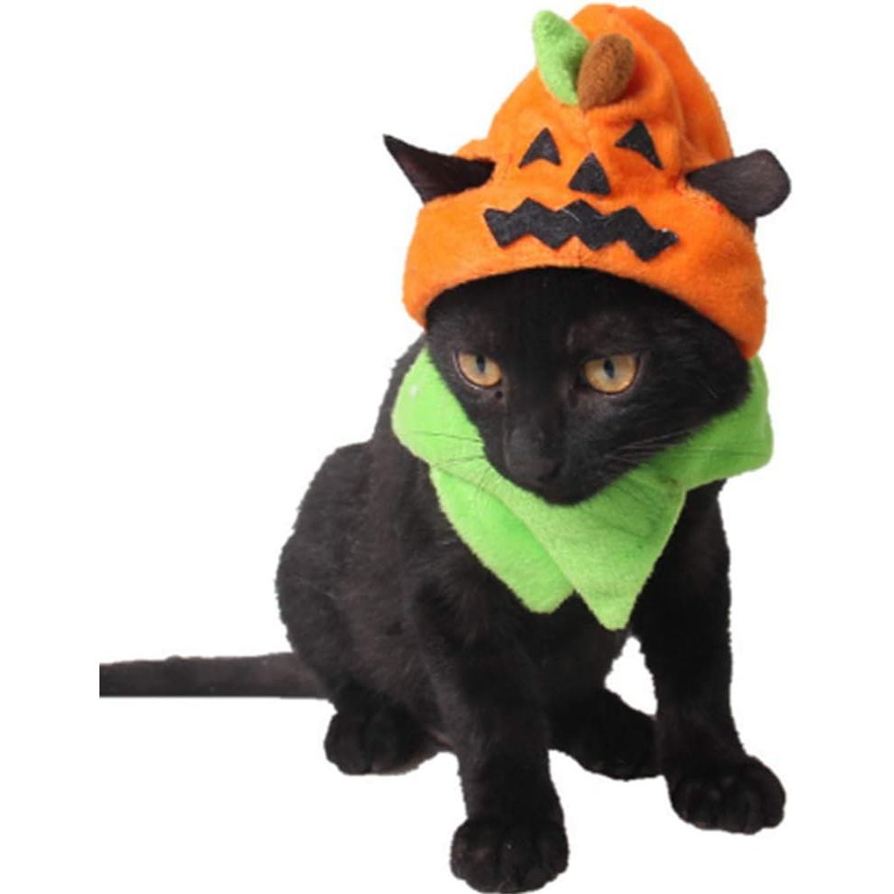 Fantasia de Halloween para Animais de Estimação ANIAC, Chapéu de Abóbora para Gato com Cachecol, Roupa de Halloween para