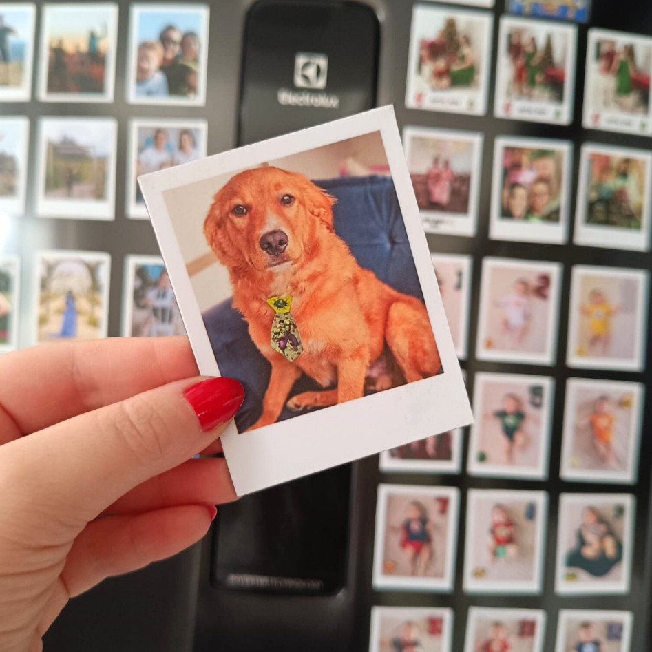 Fotos Imãs- Imã de geladeira - ComProteção Uv. NÃO DESBOTA - 7X9CM - Envio rápido