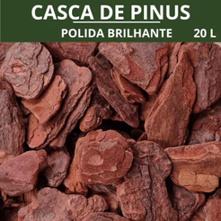 Casca De Pinus Polida Premium Selecionada Para Orquídeas Vasos Jardinagem E Decoração 2L 5L 10L