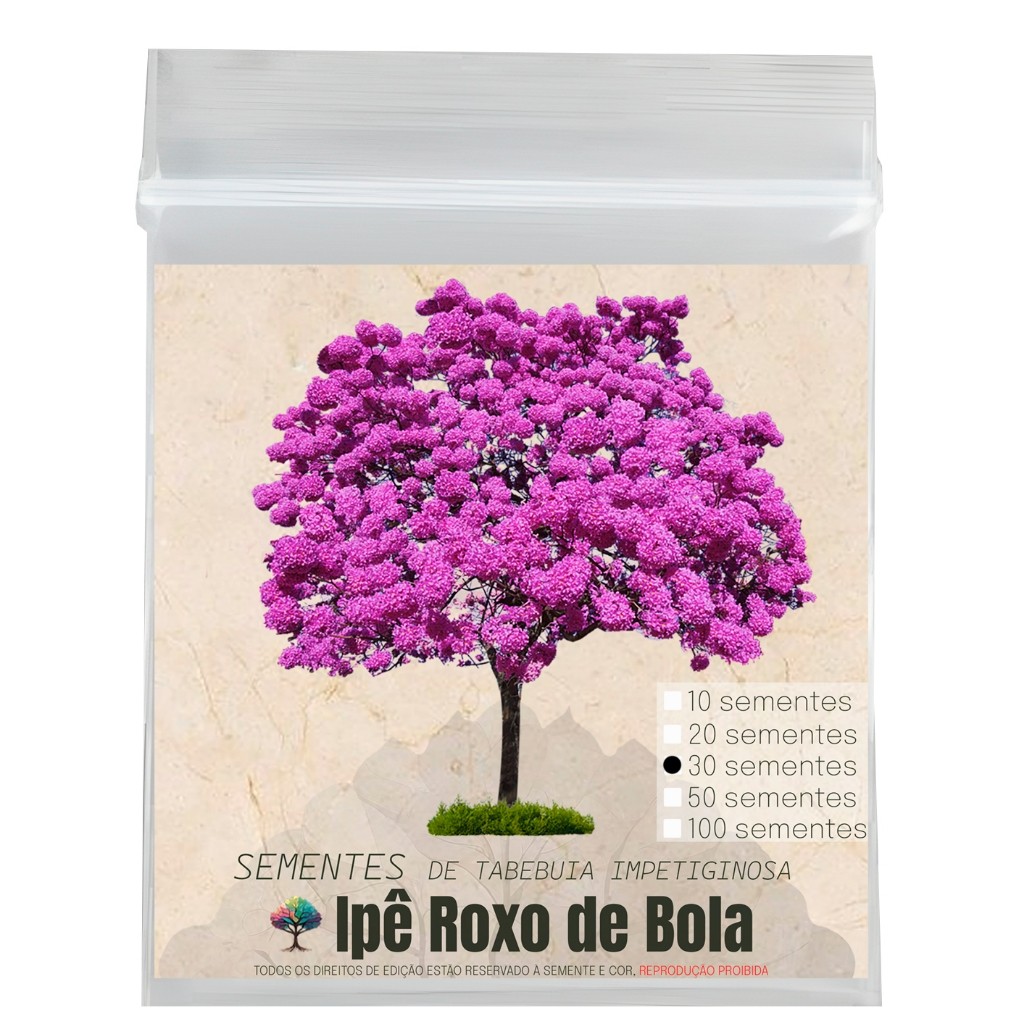 Sementes de ipê-roxo de bola Tabebuia impetiginosa
