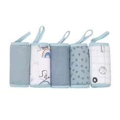 Kit Pano De Boca Papi Soft Estampa Dinossauro - 5 Peças