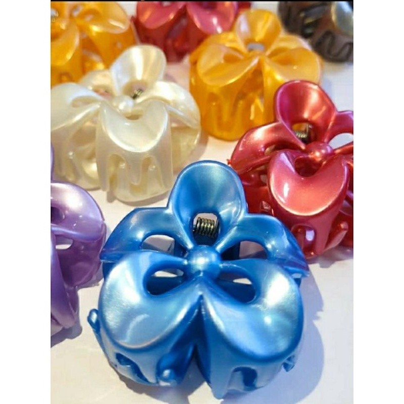 Kits 12 Peças Grampos piranha De Cabelo Flor De Feriado De Praia Barrettes - Raças em Oferta na Shopee